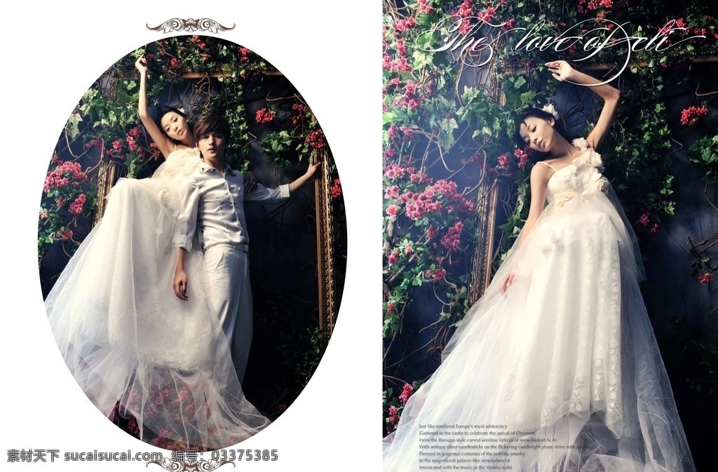 婚纱摄影模板 美女 俊男 婚纱 相框 鲜花 花朵 花束 人物写真 人物图库