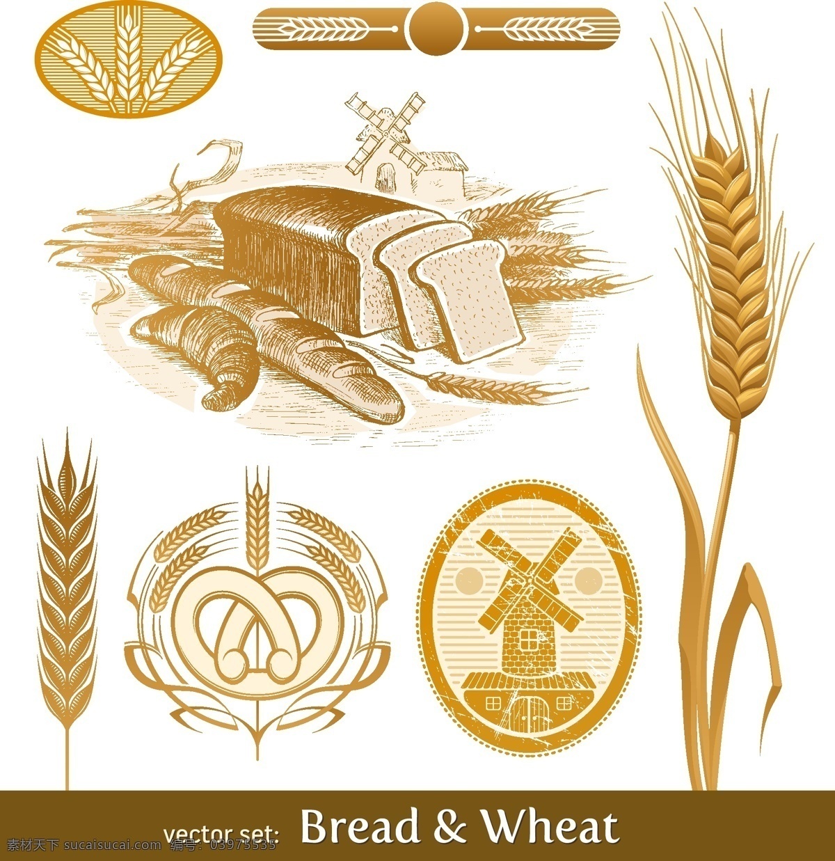 复古 小麦 食品 手绘 vi