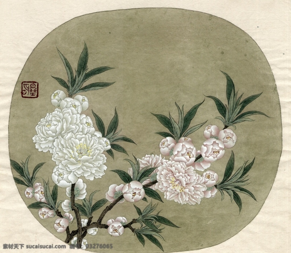 李晓明 工笔画 国画 古画 毛笔画 花团锦簇 夹竹桃 叶子 花朵 白花 李晓明工笔画 文化艺术 绘画书法