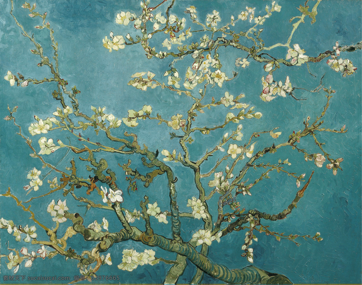 梵高 杏花 油画作品 绘画书法 文化艺术 油画 植物 装饰画 家居装饰素材