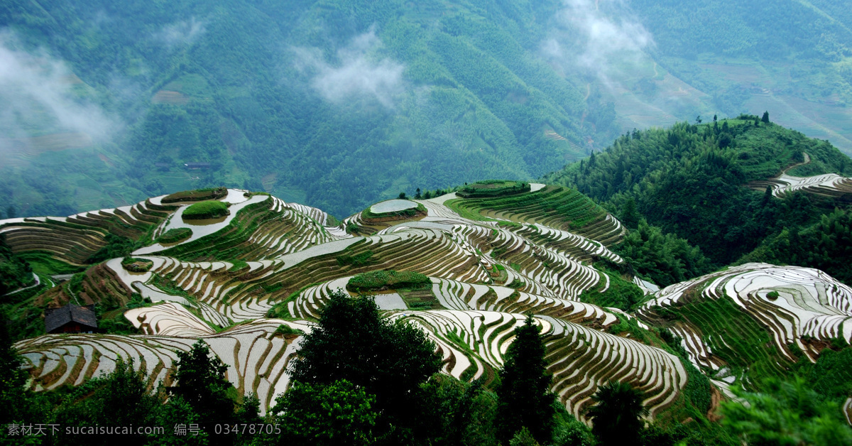 龙胜梯田 梯田 水田 风景 景色 苗寨 原生态 少数名族 居民 草地 山水 摄影素材 山水风景 自然景观 风光摄影