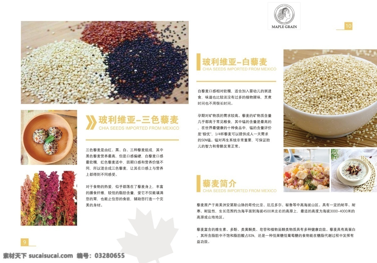 三色藜麦 玻利维亚藜麦 皇家藜麦 进口藜麦 藜麦 b5宣传单 分层
