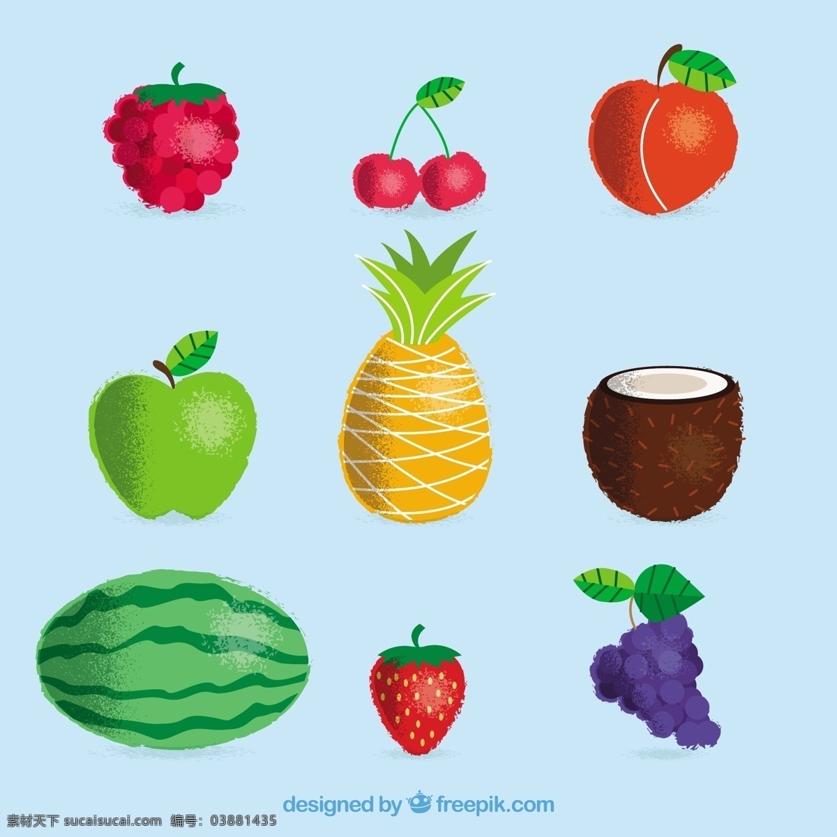 不同 种类 水果 手绘 图形设计 元素 不同种类的 手绘图形 设计元素