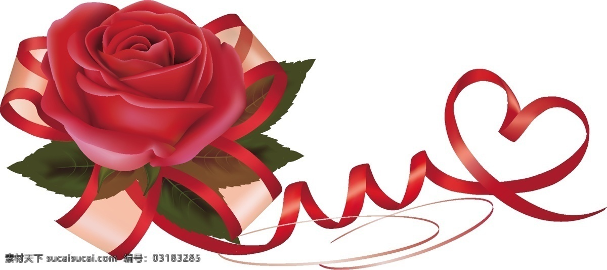 玫瑰花元素 玫瑰花 红色 丝带 情人节 七夕 白色