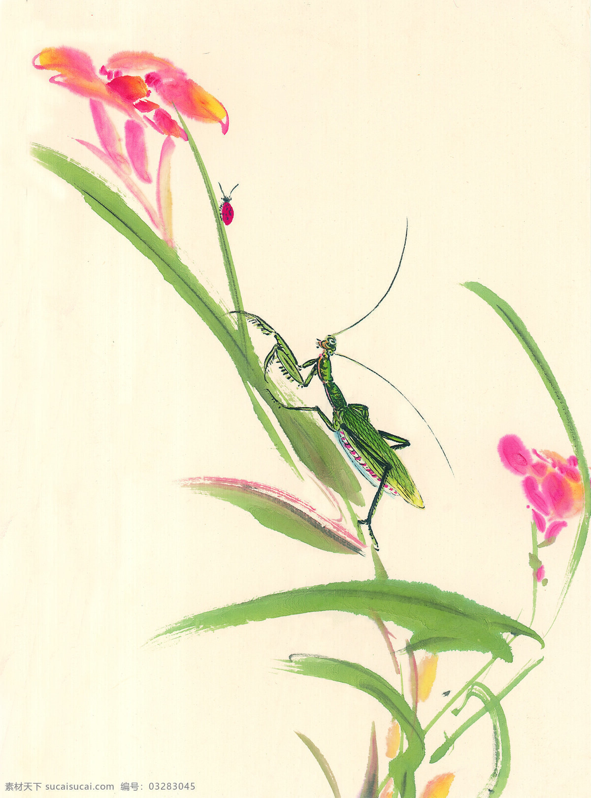 中国画昆虫 中国画 国画 花鸟鱼虫 昆虫 美术 艺术 写意 文化艺术 美术绘画 设计图库 美术图片