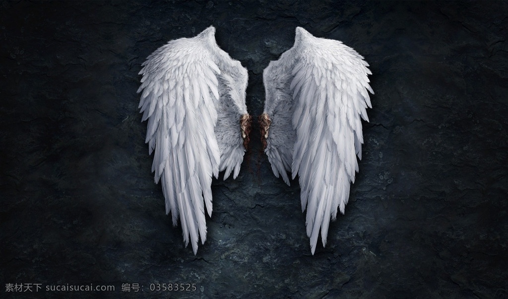 天使的翅膀 天使 翅膀 羽毛 3d 高清