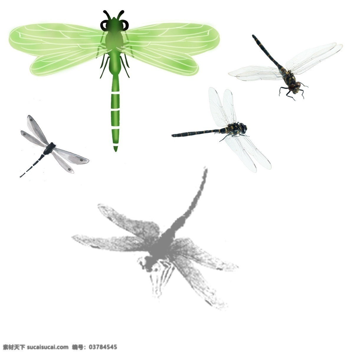 绿色蜻蜓 红色蜻蜓 翅膀 透明翅膀 绿头 震动 飞行 矢量图 卡通 漫画 游戏 生物世界 分层