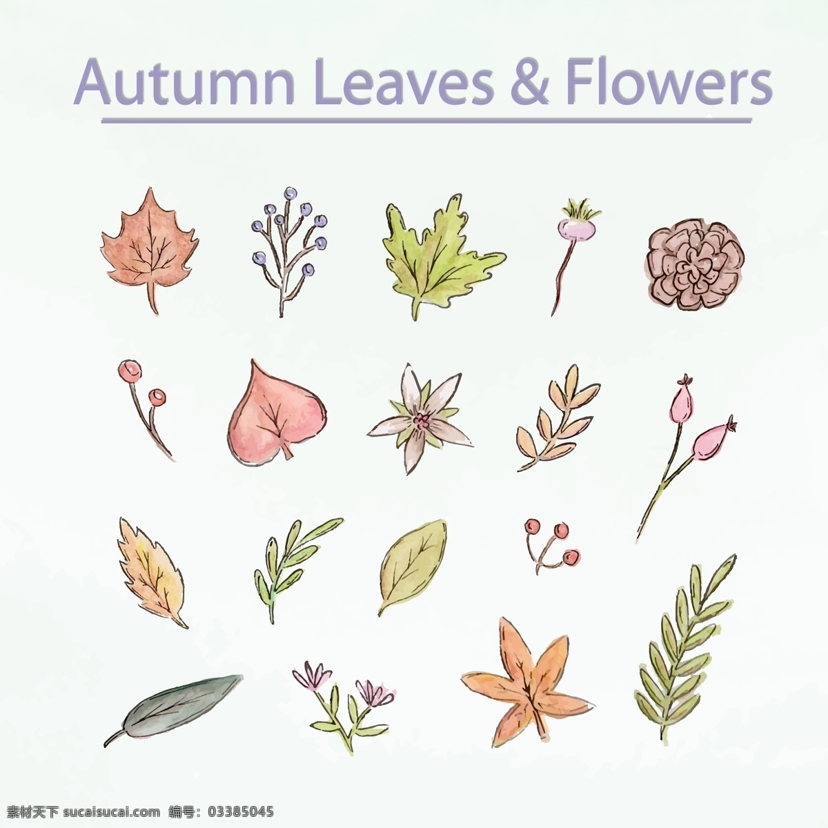 款 彩绘 秋季 叶子 花朵 树叶 浆果 松塔 植物 底纹边框 花边花纹