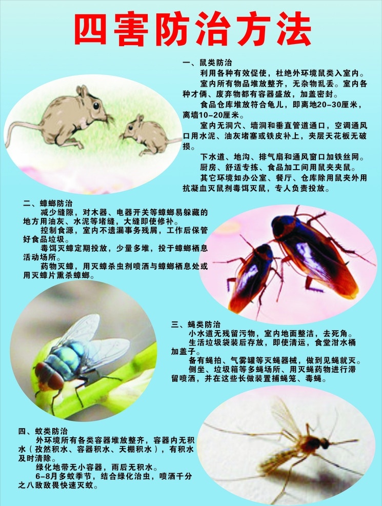 四害防治 四害 防治 苍蝇 老鼠 蟑螂 蚊子 生活百科 矢量