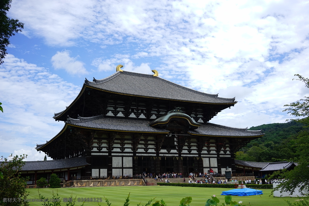 日本寺庙 寺庙 日本 神社 建筑 古建筑 庙宇 日本之旅 旅游摄影 国外旅游