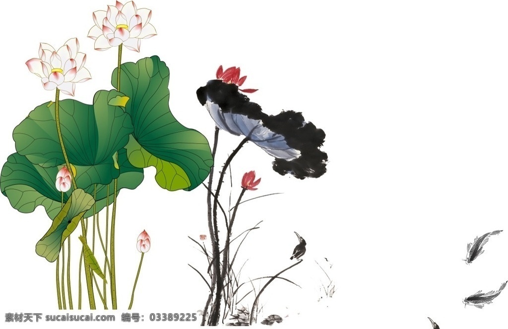 水墨 荷花 鱼 中国风 荷叶
