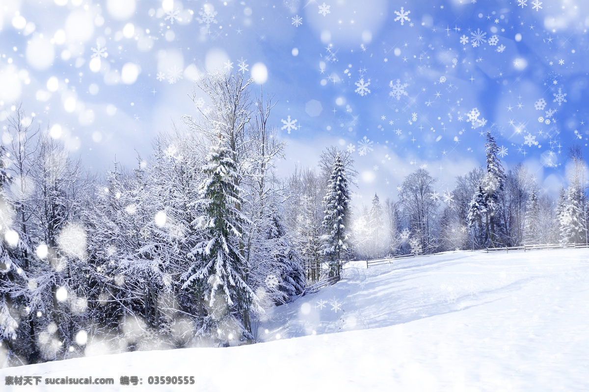 冬天 冬季 冬日 寒冬 冰雪 下雪 雪地 森林 阳光 冬天风景 冬天景色 自然景观 自然风景