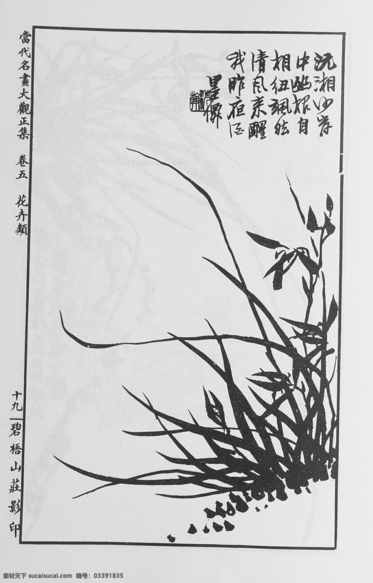 花卉画 中国画 当代 名画 大观 正 集 设计素材 花鸟画篇 中国画篇 书画美术 白色