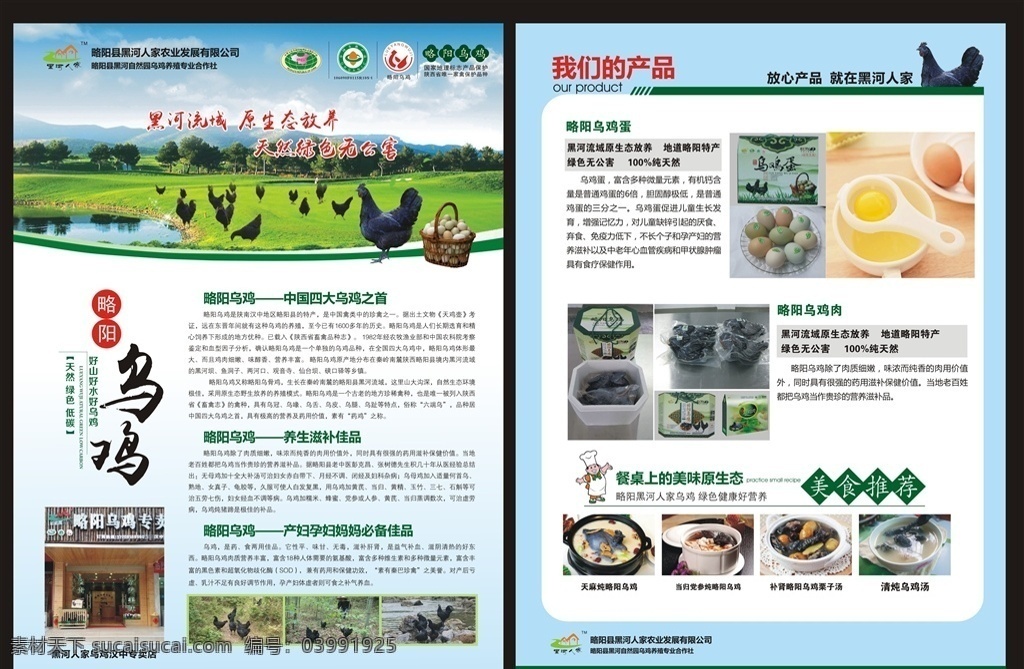 乌鸡单页 单页 蓝色单页 鸡单页 乌鸡 母鸡 母鸡单页 精品单页 宣传折页 招贴设计