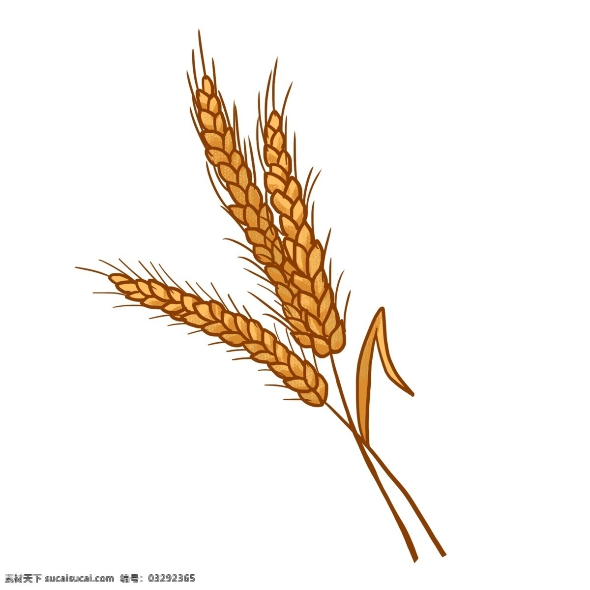 卡通麦子 卡通 植物 粮食 麦子 秋天 收获 季节 卡通设计