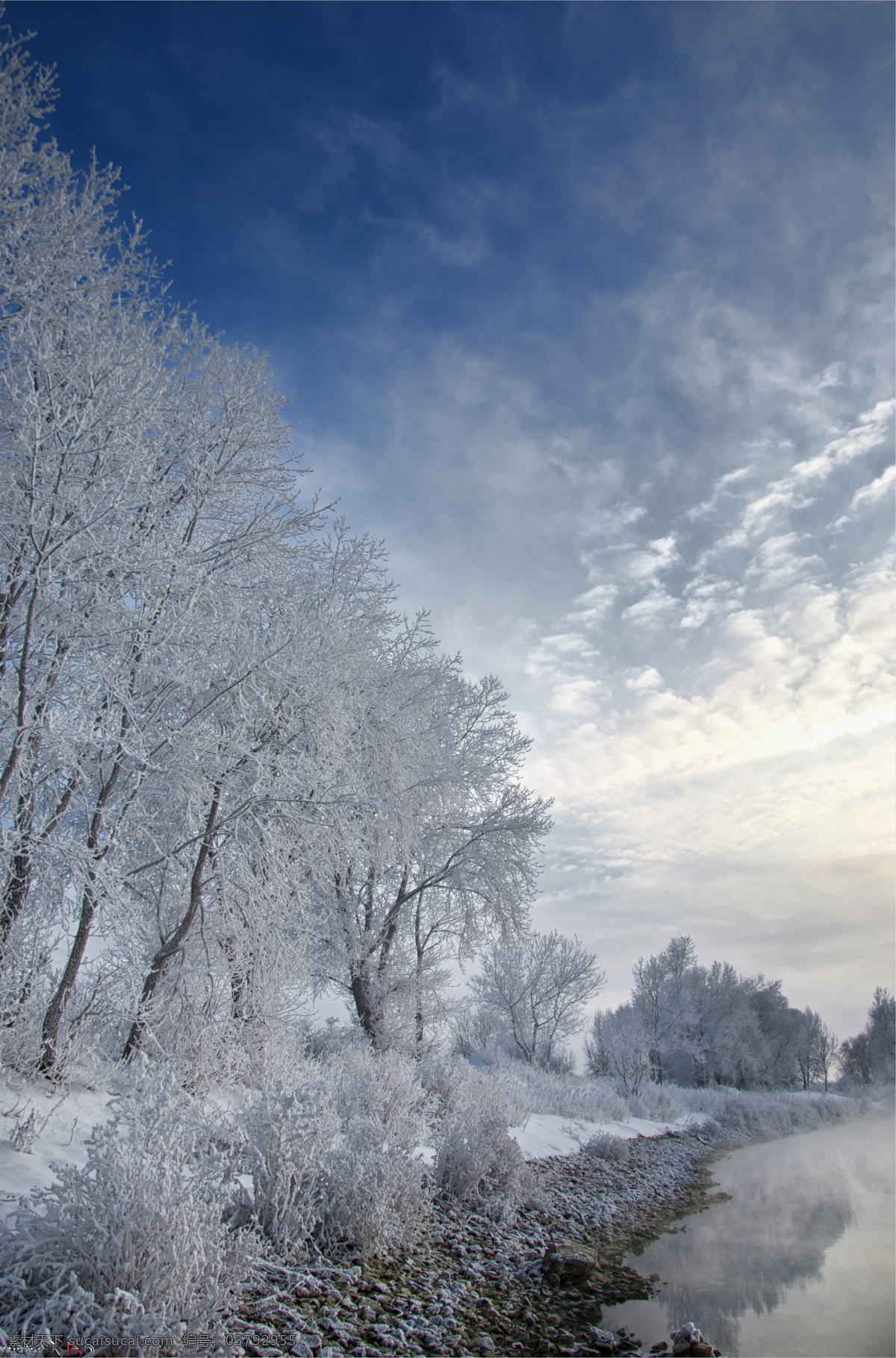 蓝天 下 树林 河流 冬天风景 雪景 自然风景 山水风景 风景图片