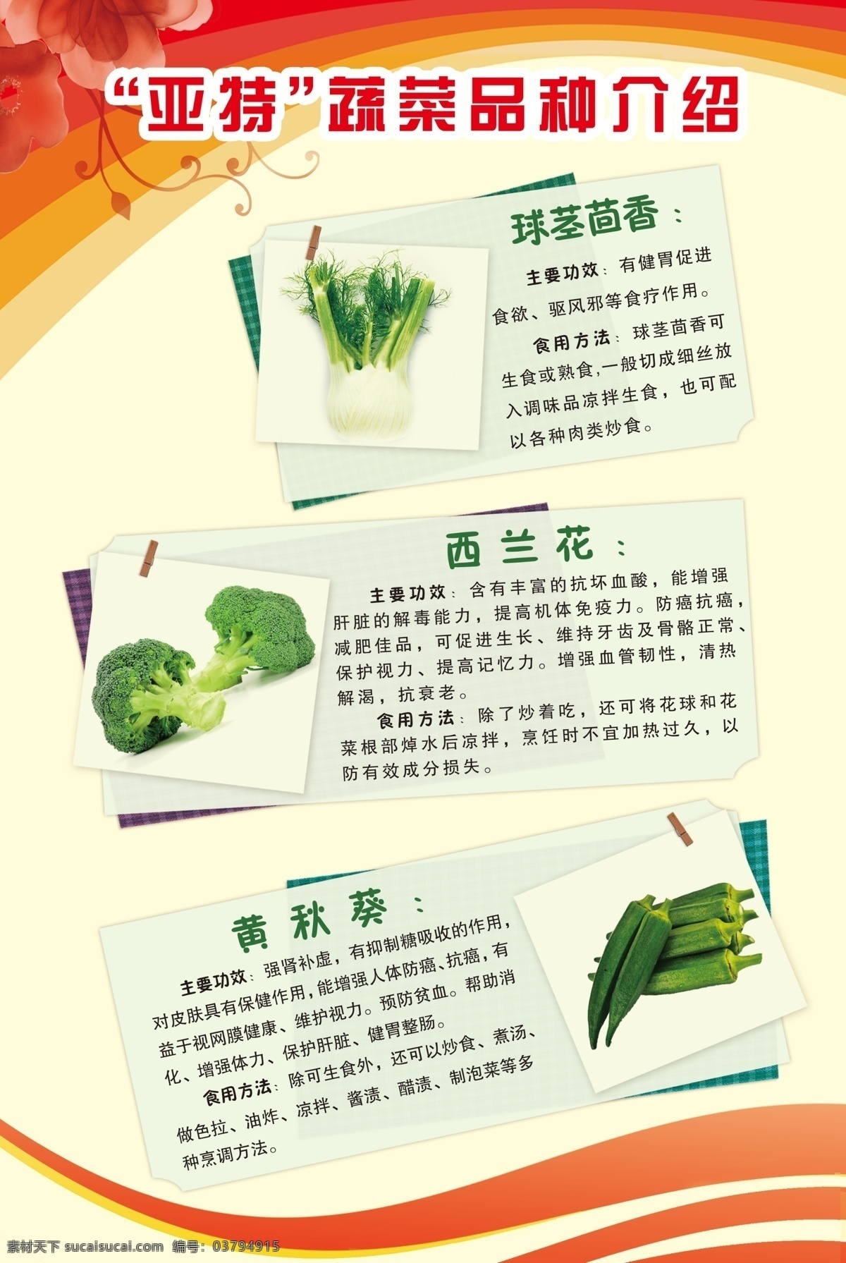 科协科普宣传 蔬菜 宣传 展板 介绍 科普 白色