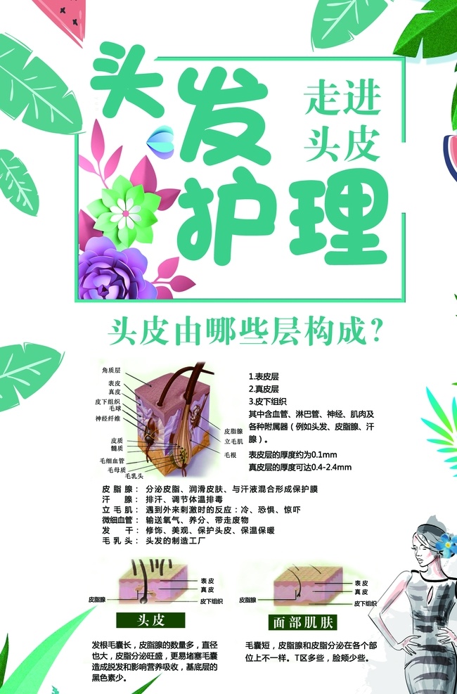 头发护理 头皮由来 海报 展架 ps分层