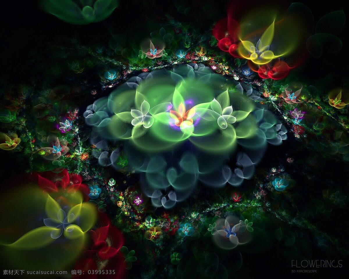 彩色 发光 花 花朵 底纹边框