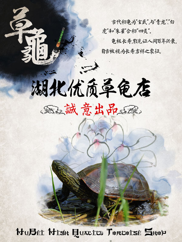 中国 风 草 龟 店 广告 免费 中国风