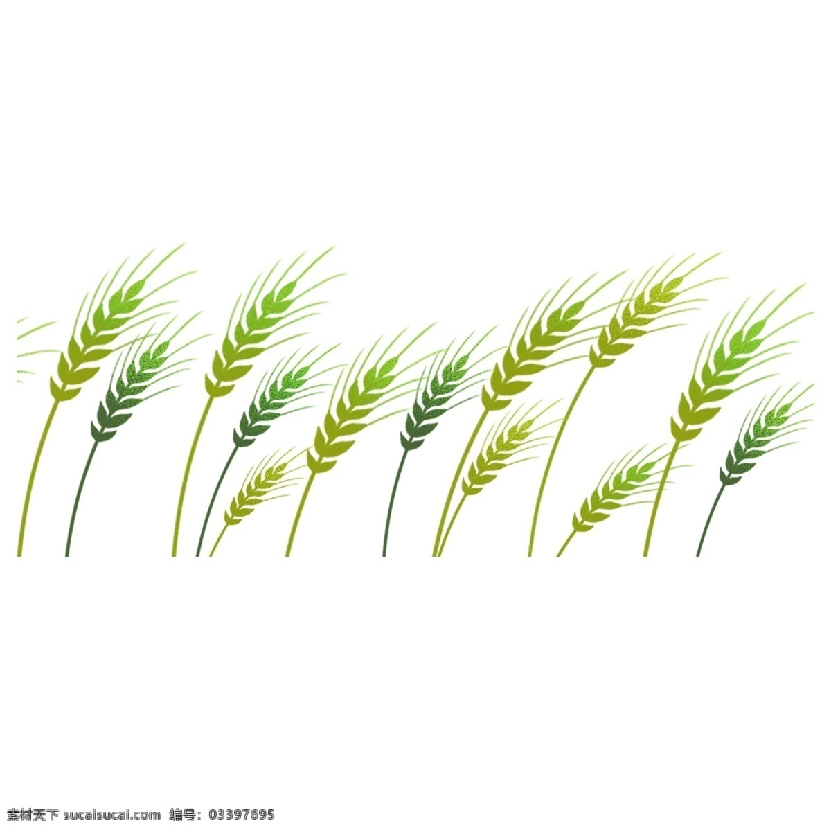 手绘 绿色 麦子 卡通 透明 免扣素材 透明素材 卡通素材 可爱 植物 清新