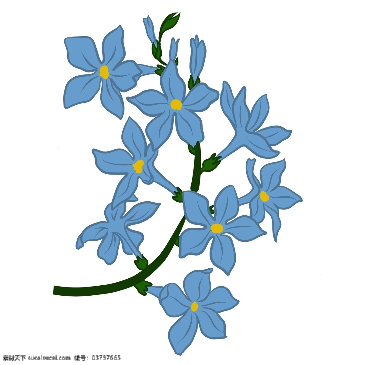 弯曲蓝色花朵 自然 环境 花朵