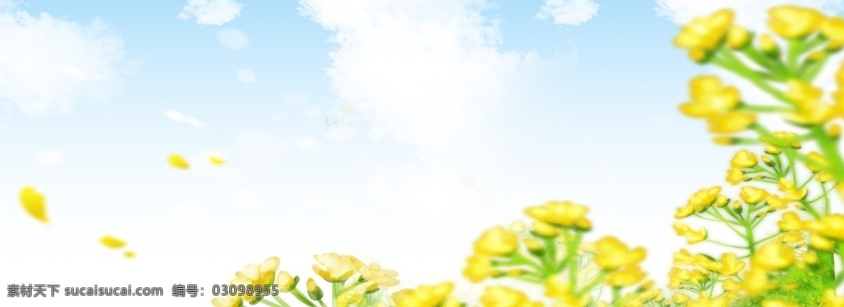 春天 油菜花 风景 海报 背景 黄色 花朵 春季 踏青 轻松