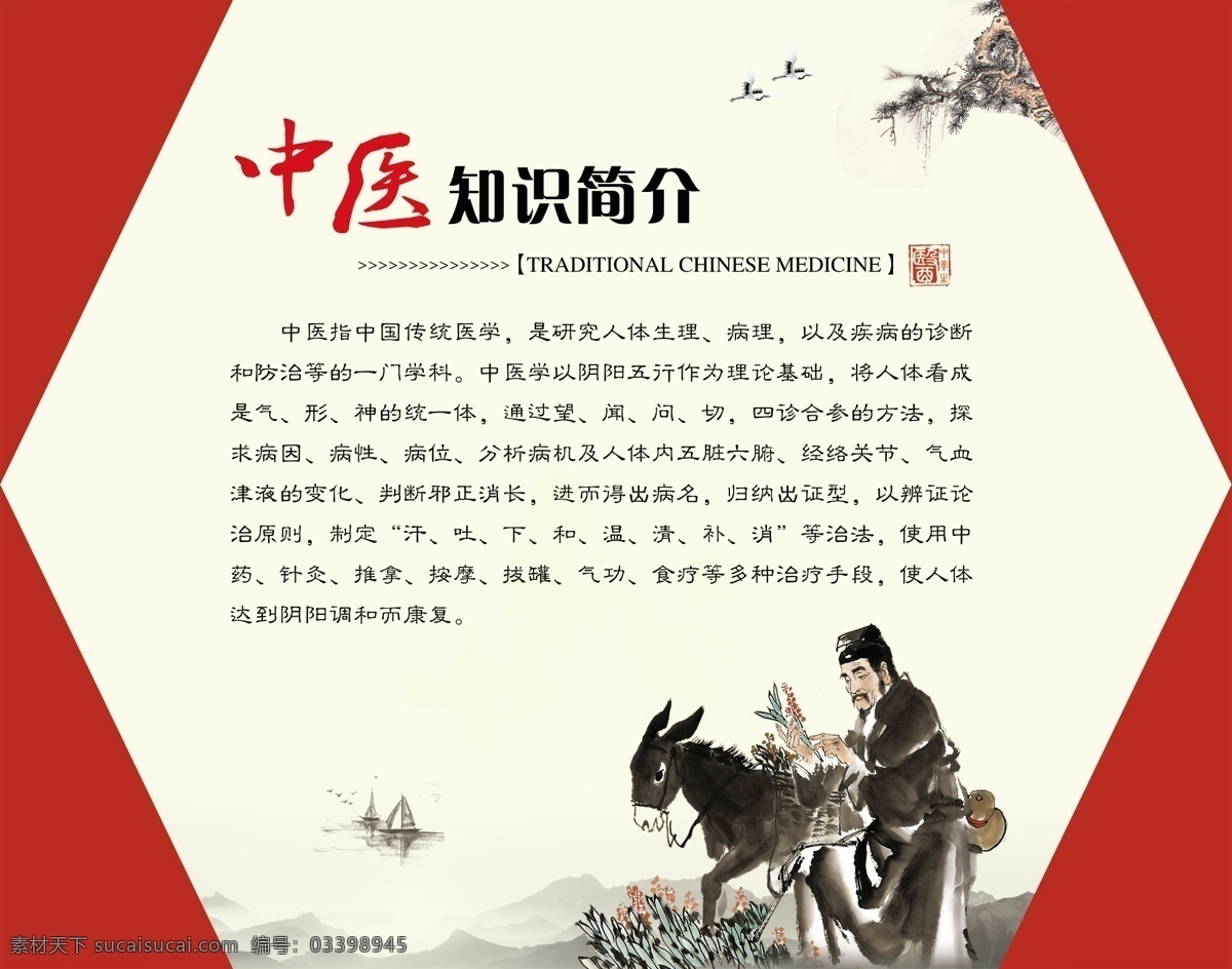 中医知识简介 中医 中药 养生 保健 针灸 按摩 展板海报