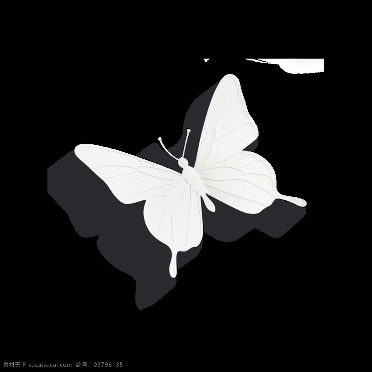 卡通 白色 蝴蝶 元素 png元素 彩色 飞舞 昆虫 免抠元素 透明素材