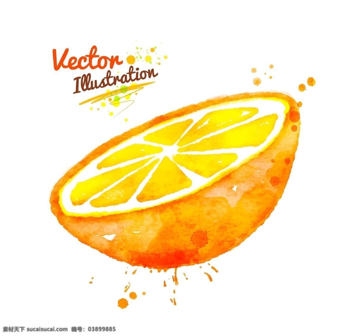半 颗 橙子 创意 喷溅 水彩 墨迹 玉米 蔬菜 矢量 黄色 插画 水墨 手绘 墨点