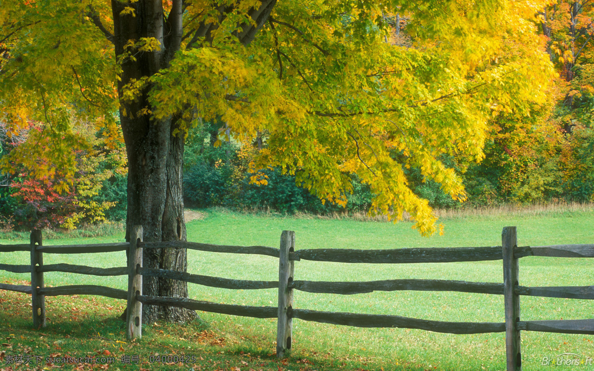 画 农场 草地 牧场 树木 围栏 秋天的农场 风景 生活 旅游餐饮