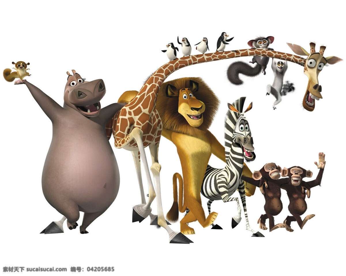 马达加斯加 斑马 狮子 松鼠 猴子 动漫人物 动漫动画