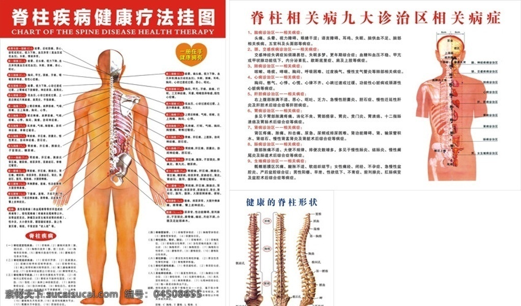 脊柱 疾病 健康 疗法 图解 脊柱疾病 脊柱结构 脊柱名称 胸椎 颈椎 人体 脊柱病痛 脊柱结构挂图 矢量广告 矢量