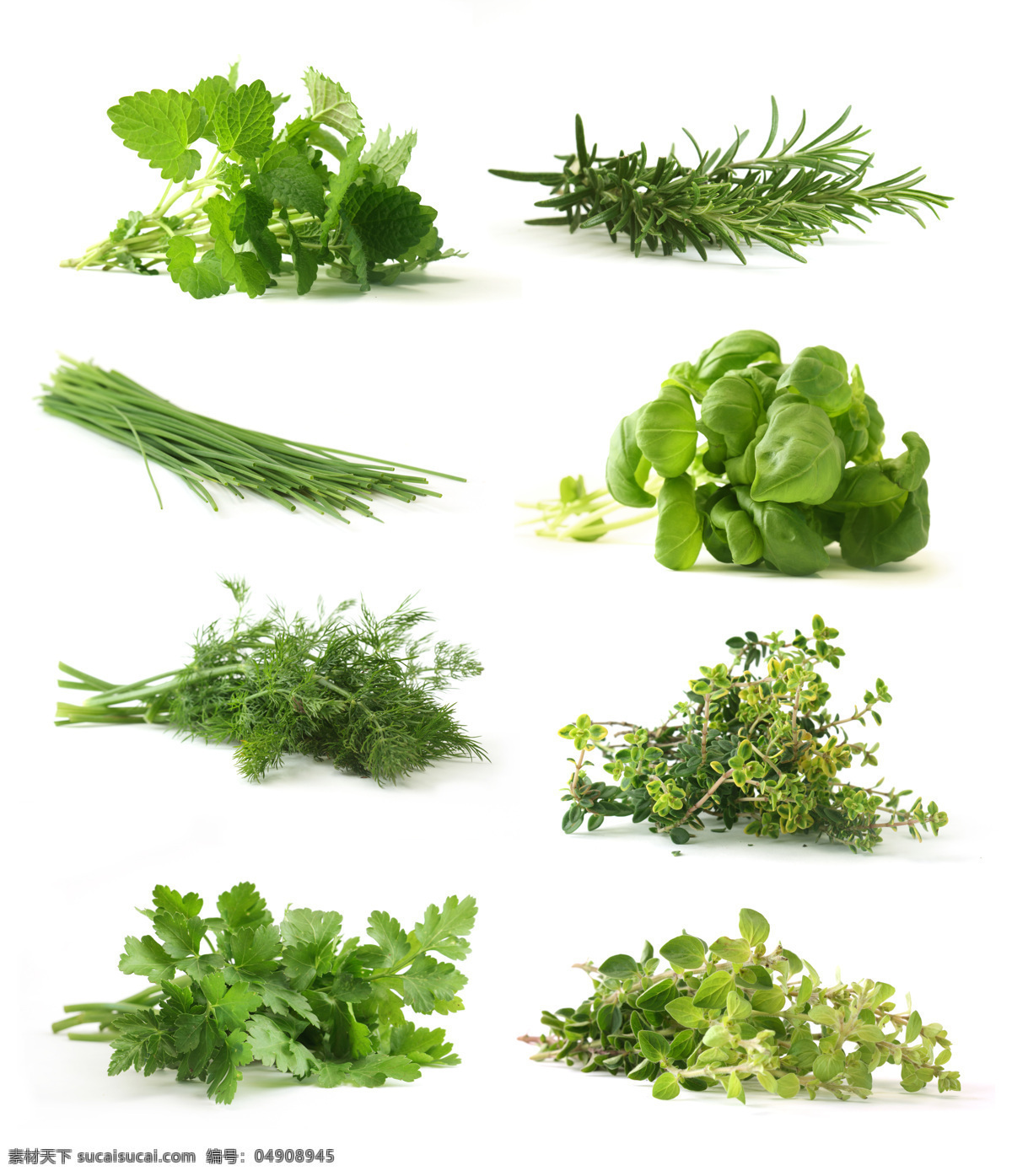 新鲜 绿叶 蔬菜 绿色 蔬菜图片 餐饮美食
