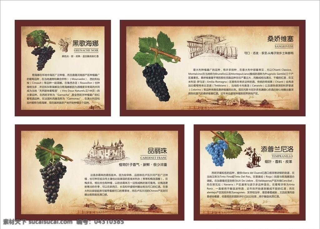 世界 葡萄 品种 介绍 葡萄品种 手绘葡萄 红酒素材 红酒文化 红酒 画框 红酒展板 葡萄酒 进口红酒 进口葡萄酒 环境设计 展览设计