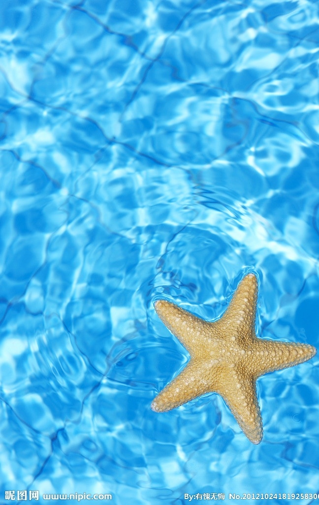 海星 蓝色海水 海星标本 海星饰品 海星纹理 高清海星 海洋生物 生物世界