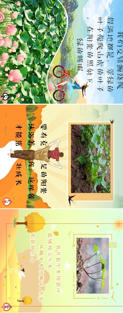 幼儿园 儿童绘本 插画 韩国插画 小学生 绘本 画册 红薯 地瓜 封面 图书 画本 画册设计