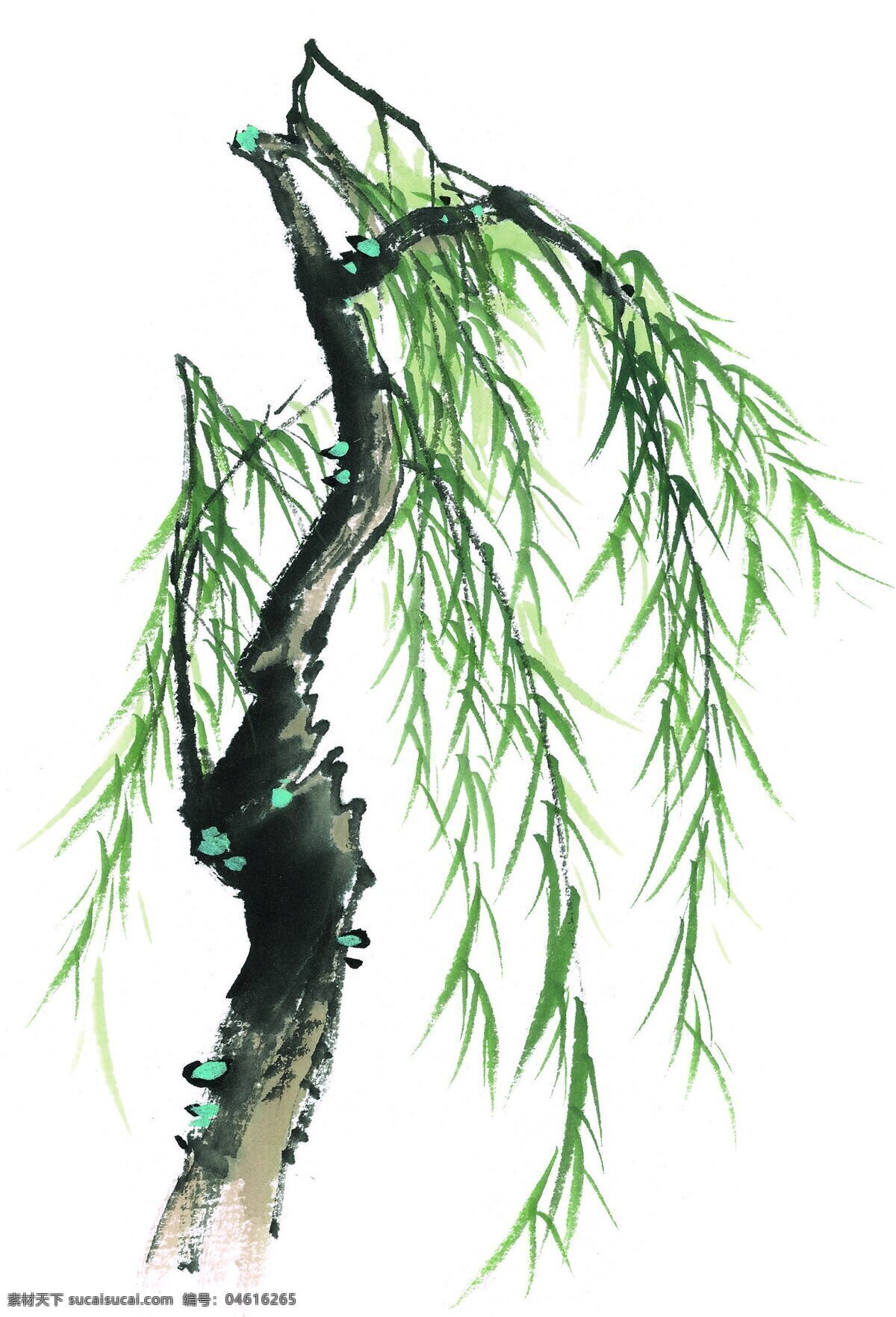 水墨 柳树 绿叶 文化艺术