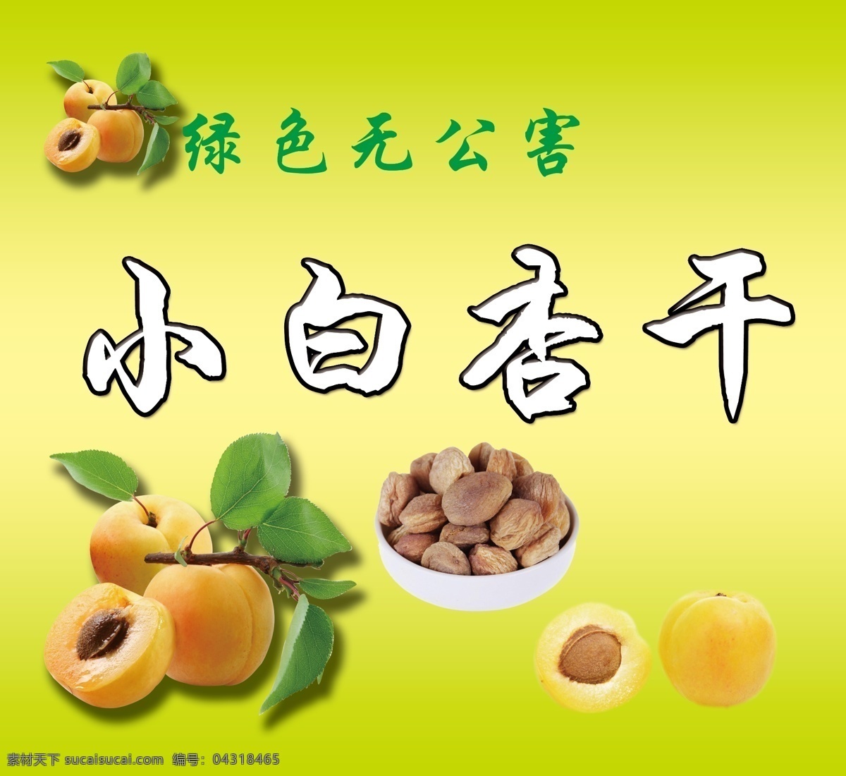 新疆特产 小白杏干 干果 特色 海报 宣传 广告