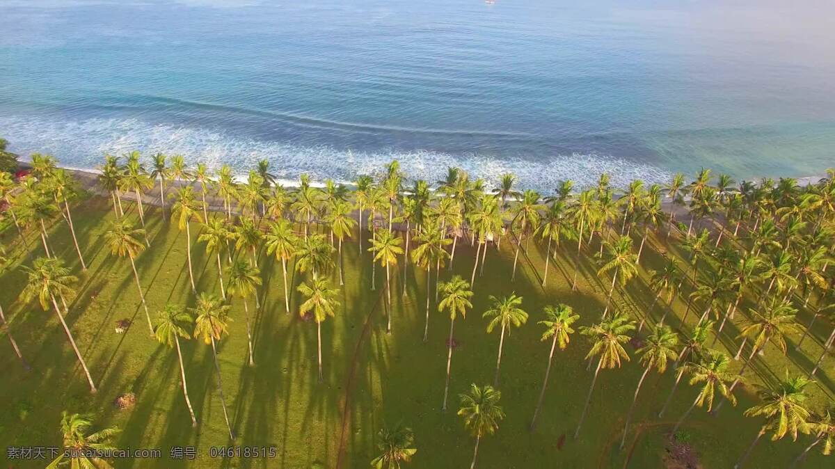 飞越大洋 露出棕榈树 自然 海滩 热带的 空中 无人机 棕榈 树 天堂 岸 印度尼西亚 龙目岛 求助 景观 风景 假期 冒险 多沙的 绿松石 海岸线 暗礁 海洋 海 setangi