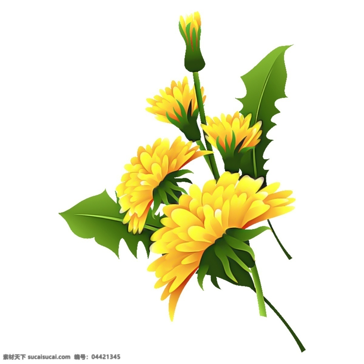 水彩 花卉 装饰 免 抠 图 卡通素材 可爱 鲜花 png免抠图 透明素材 花卉装饰