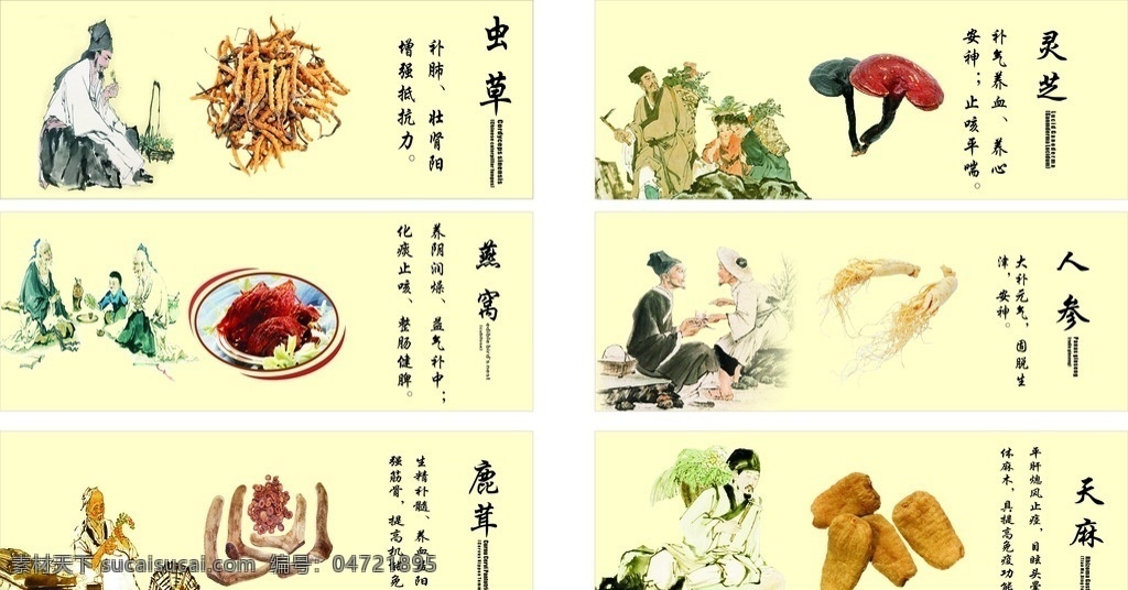 参茸背柜图 参茸 燕窝 虫草 鹿茸 灵芝 店堂