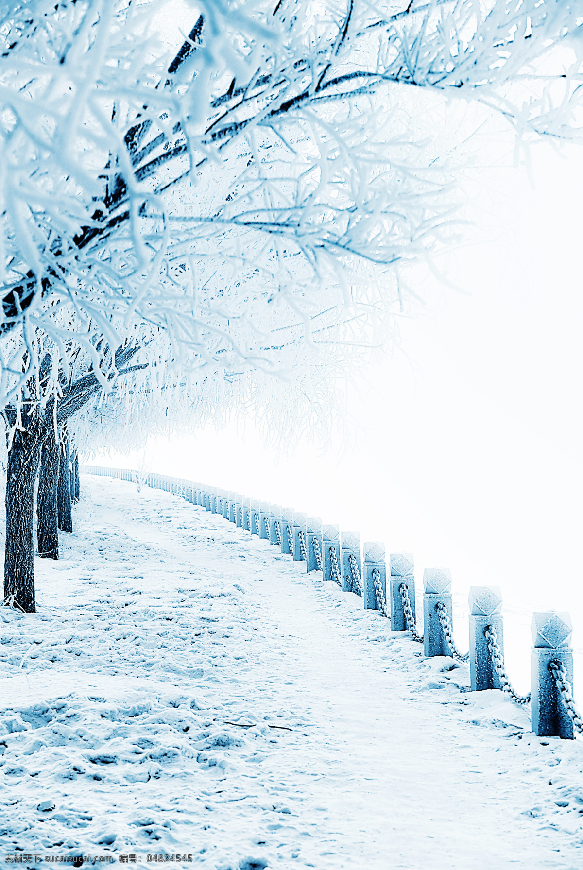 美丽雪地风景 冬天雪景 美丽风景 雪地风景 冬季雪景 景色 冬天的树 自然风景 自然景观 白色