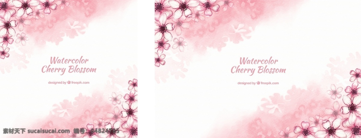 水彩樱花背景 背景 花卉 水彩 春天 粉红色 中国 樱桃 开花 插图 鲜花