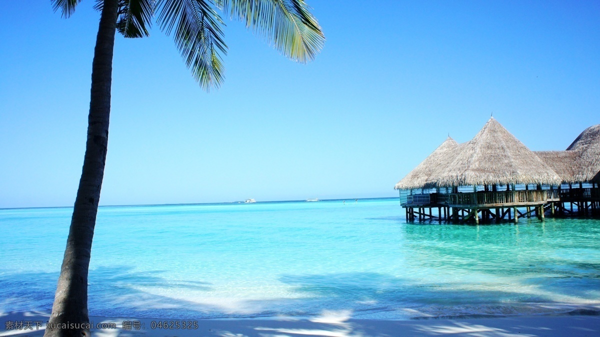 马尔代夫 大海 国外旅游 海边 海滩 旅游摄影 椰树 psd源文件