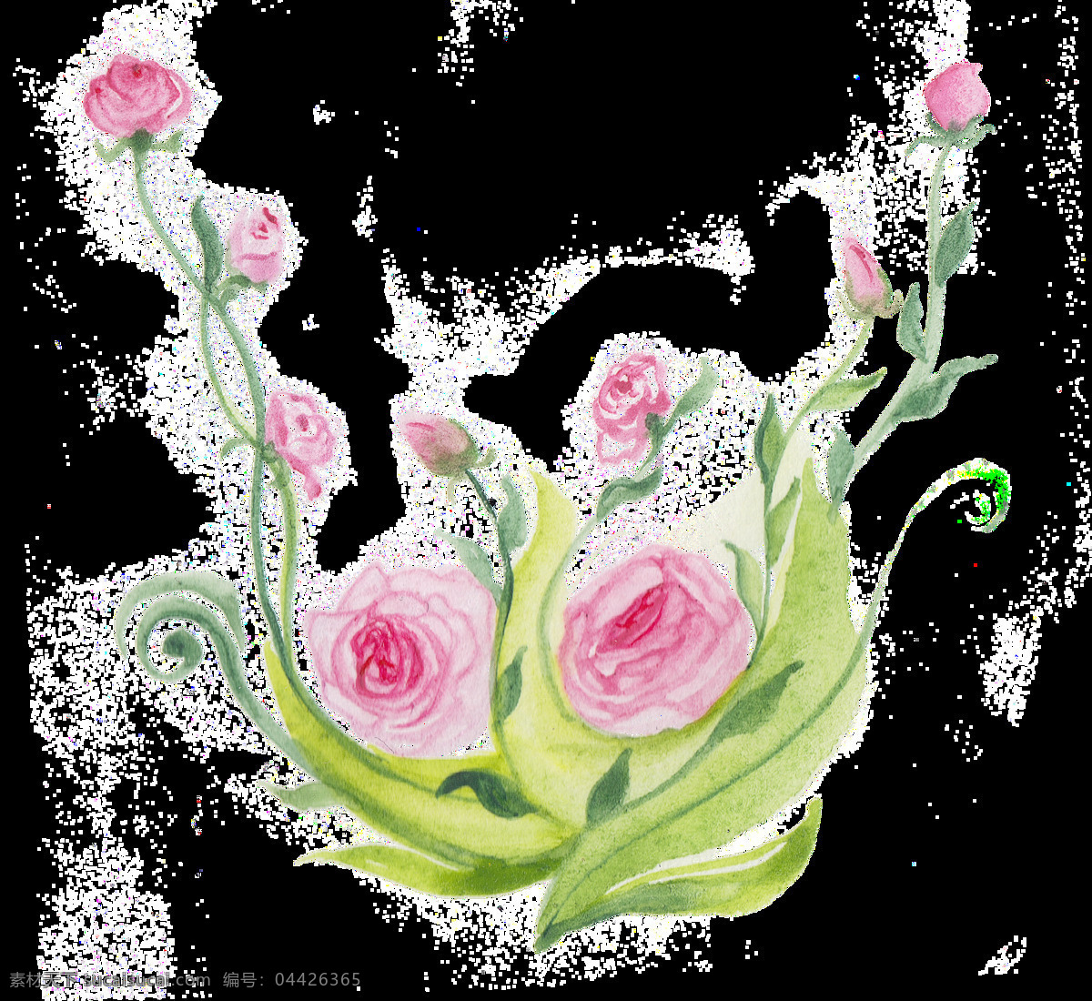 碧绿 康乃馨 透明 绿色 花束 透明素材 免扣素材 装饰图案