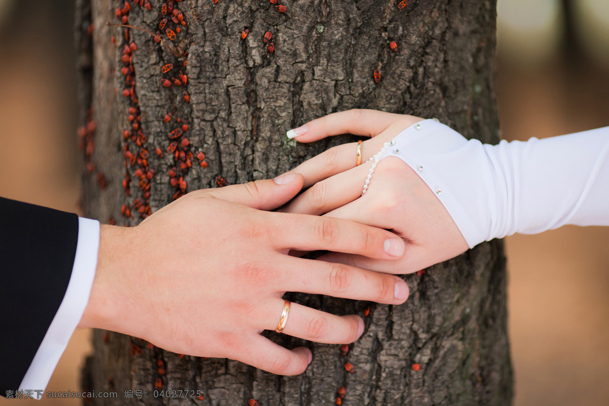 对戒 婚礼 婚姻 结婚 结婚戒指 结婚钻戒 戒指 浪漫 结婚对戒 钻戒 幸福 新郎 新娘 生活素材 生活百科 psd源文件 婚纱 儿童 写真 相册 模板