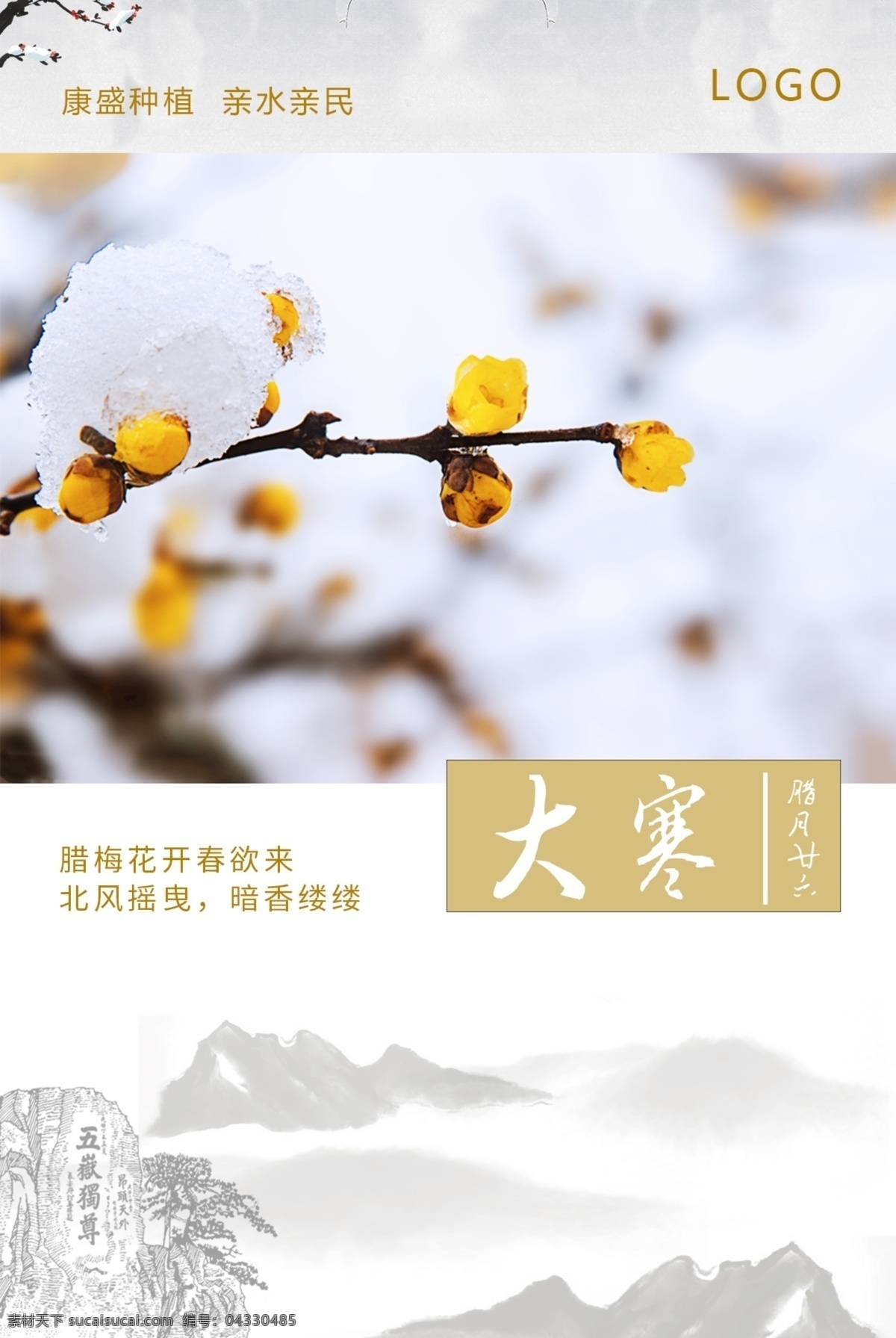 大寒节气 大寒 腊梅 泰山 五岳独尊 白雪 中国风 金色 枝头 腊梅花 节气