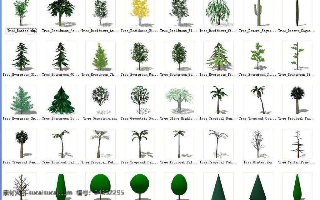 su 植物 组建 sketchup 草图 大师 模型 花卉树木 园林 建筑装饰 设计素材 3d模型素材 室内场景模型