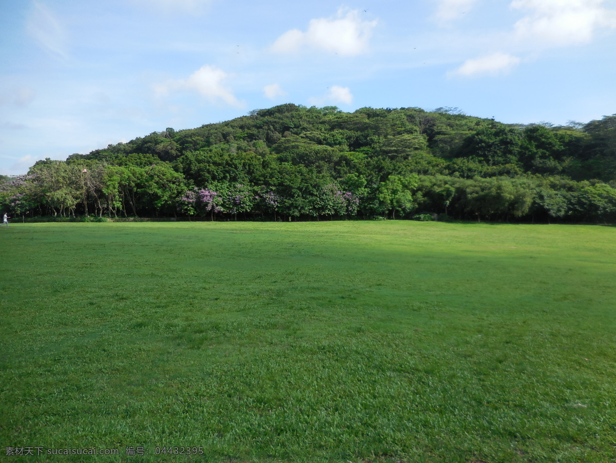 草地 草坪 绿草 草皮 自然风光 公园 园林风景 植被 树木 环保 树林草地 林中草地 大树 绿树 绿化 莲花山 蓝天白云 蓝天 白云 阳光 自然景观3 自然景观 山水风景